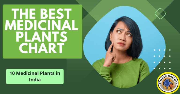 The Best Medicinal Plants Chart: 10 Medicinal Plants in India