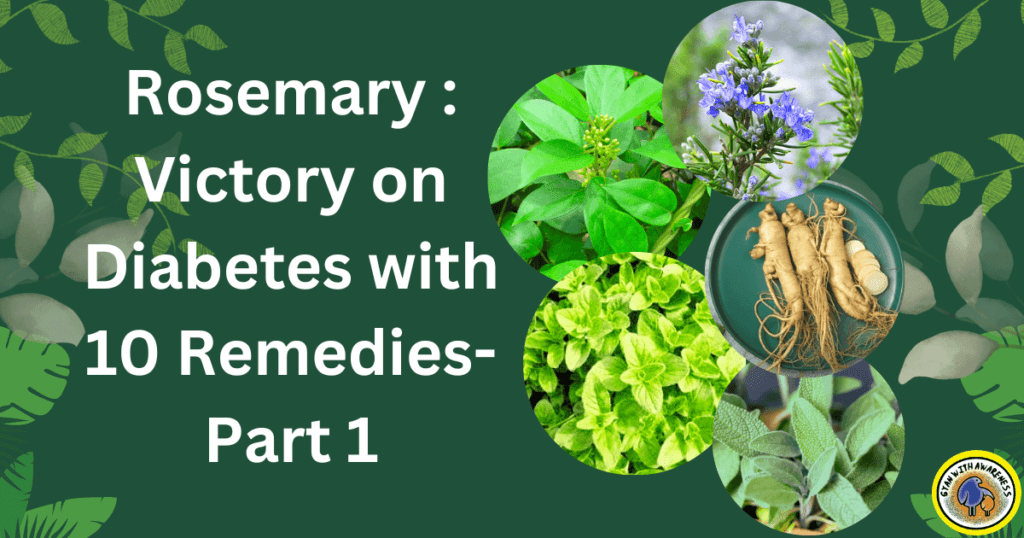 Rosemary : Victory on Diabetes with 10 Remedies- Part 1