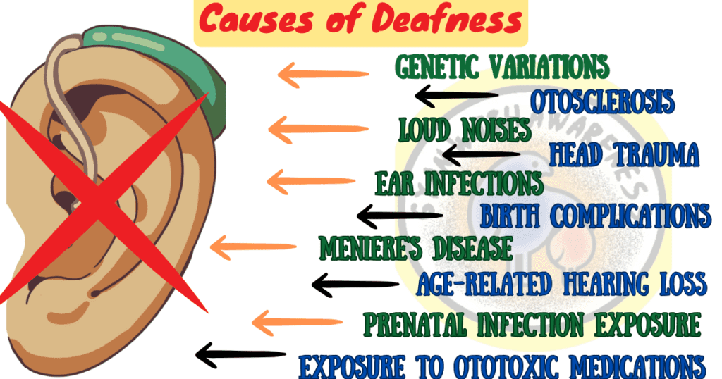 Deafness: Causes, Symptoms, and 10 Effective Treatments