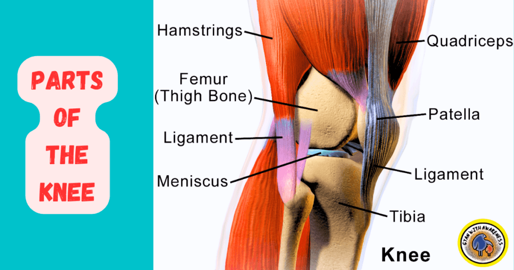 Alleviating Knee Pain: 101% Best A Comprehensive Guide